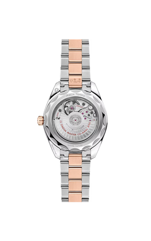 Omega 220.20.30.20.63.001 Aqua Terra 150M Kadın Kol Saati