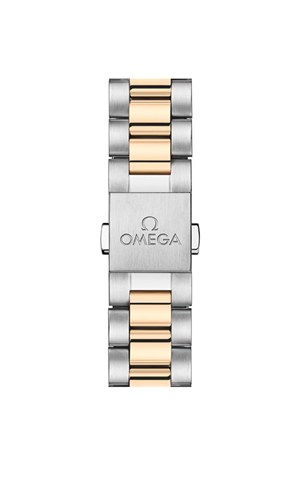 Omega 220.20.41.21.01.001 Watches