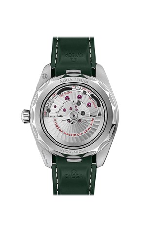 Omega 220.32.43.22.10.001 Aquaterra Watches