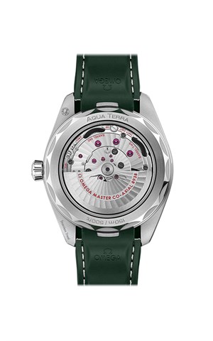 Omega 220.32.43.22.10.001 Aquaterra Erkek Kol Saati