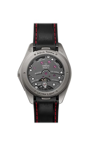 Omega 220.92.41.21.06.001 Aquaterra Watches