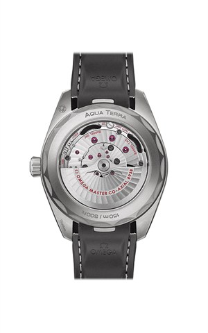 Omega 220.92.43.22.99.001 Aquaterra Watches