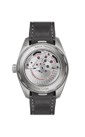 Omega 220.92.43.22.99.001 Seamaster Erkek Kol Saati