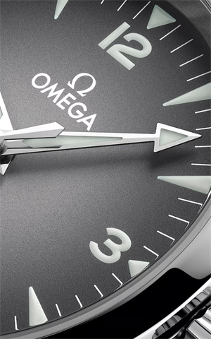 Omega 235.10.38.20.06.001 Seamaster Railmaster Erkek Kol Saati