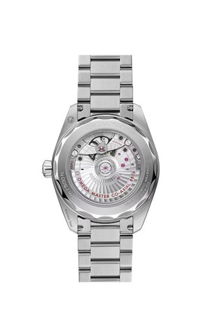 Omega 235.10.38.20.06.001 Seamaster Railmaster Erkek Kol Saati