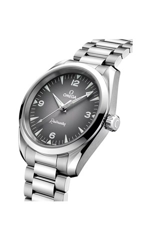 Omega 235.10.38.20.06.001 Watches