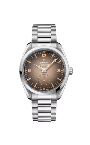 Omega 235.10.38.20.13.001 Watches