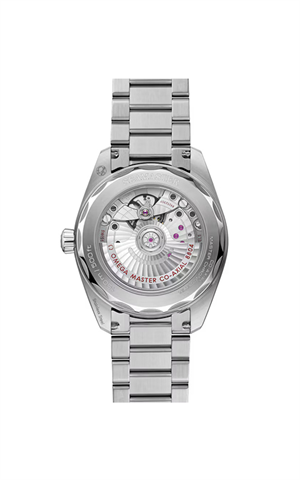 Omega 235.10.38.20.13.001 Seamaster Railmaster Erkek Kol Saati