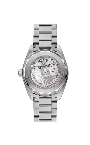 Omega 235.10.38.20.13.001 Seamaster Railmaster Erkek Kol Saati