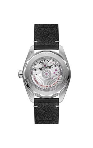 Omega 235.12.38.20.06.001 Railmaster Erkek Kol Saati