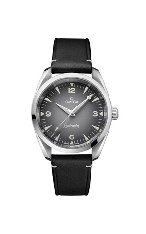 Omega 235.12.38.20.06.001 Railmaster Watches
