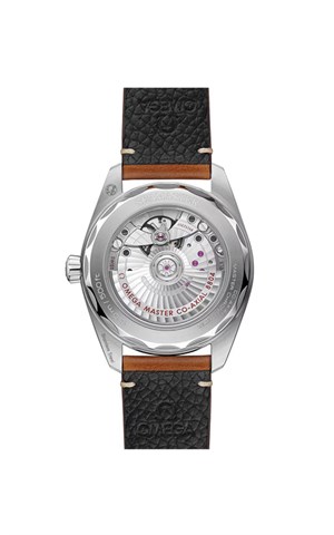 Omega 235.12.38.20.13.001 Seamaster Railmaster Erkek Kol Saati