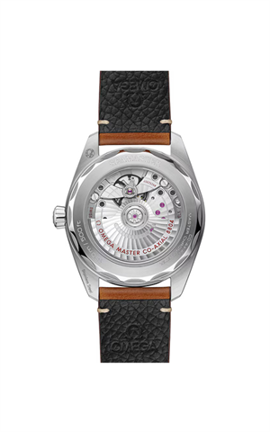 Omega 235.12.38.20.13.001 Seamaster Railmaster Erkek Kol Saati