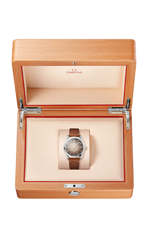 Omega 235.12.38.20.13.001 Seamaster Railmaster Erkek Kol Saati