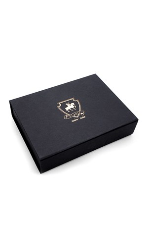 Piguet PGTAURUSTR Classic Fountain Pen Pens