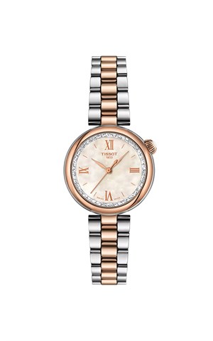 Tissot T1520102211800 Desir Kadın Kol Saati