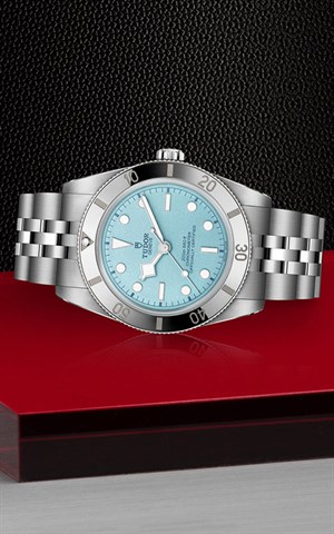 Tudor M79000-0001 Black Bay 54 Watches
