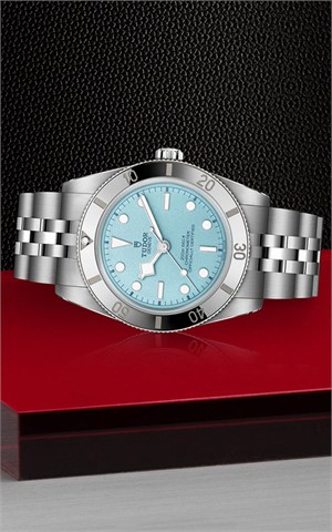 Tudor M79000-0001 Black Bay 54 Watches