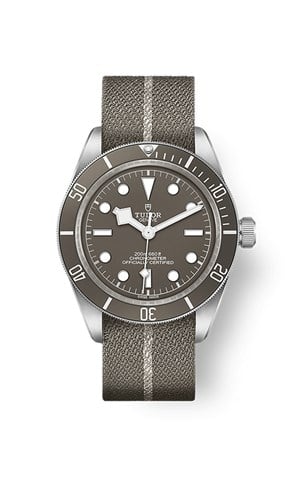 Tudor M79010SG-0002 Black Bay 58 Erkek Kol Saati