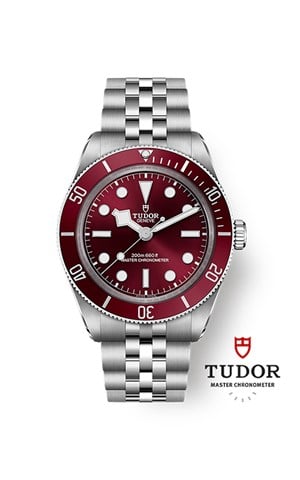 Tudor M7939A1A0RU-0001 Black Bay Erkek Kol Saati