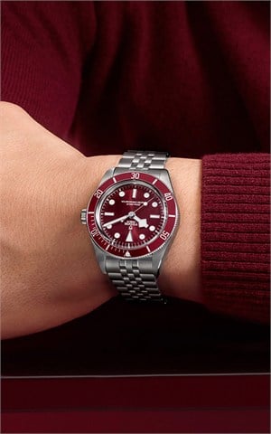 Tudor M7939A1A0RU-0001 Black Bay Watches