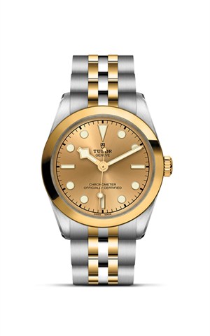 Tudor M79603-0005 Black Bay 31 Watches