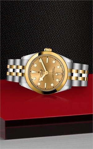 Tudor M79603-0005 Black Bay 31 Watches