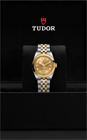 Tudor M79603-0005 Black Bay 31 Watches