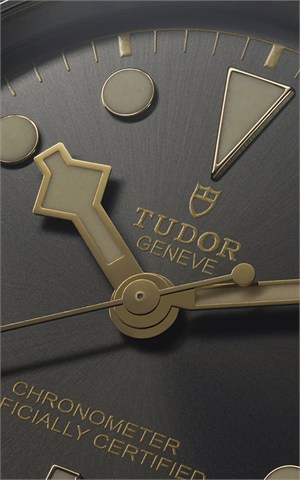 Tudor M79660-0001 Black Bay Watches