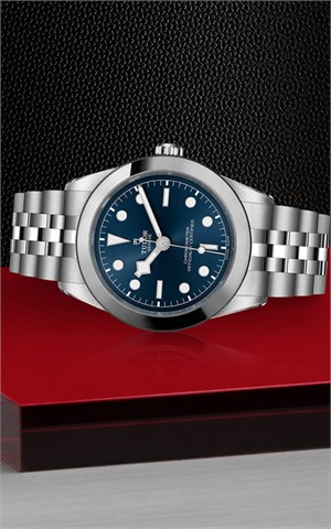 Tudor M79660-0002 Black Bay Watches