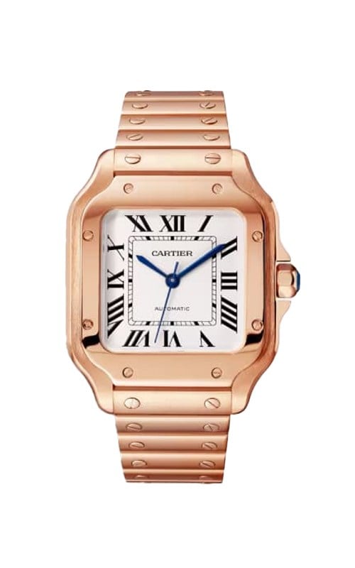 Cartier WGSA0031 Santos Watches