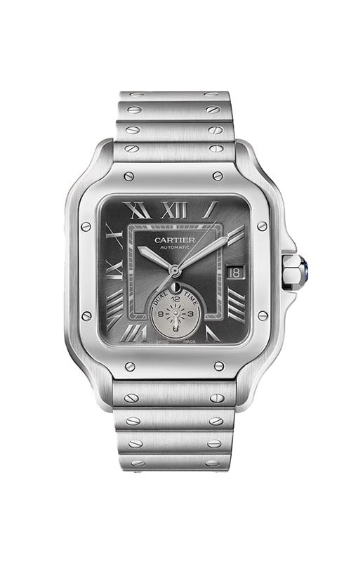 Cartier WSSA0076 Santos Watches