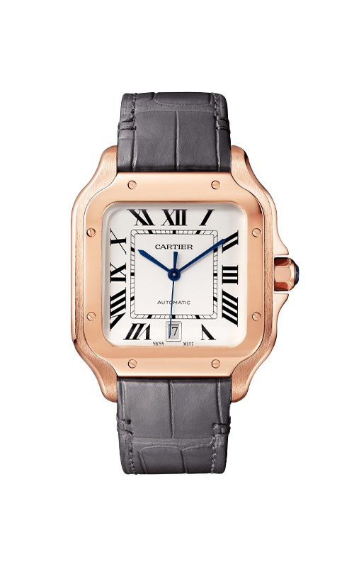 Cartier WGSA0019 Santos Watches