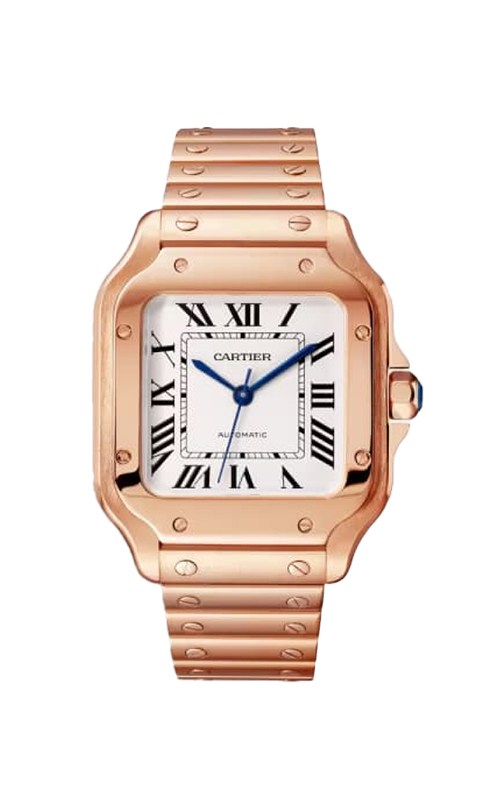 Cartier WGSA0031 Santos Watches