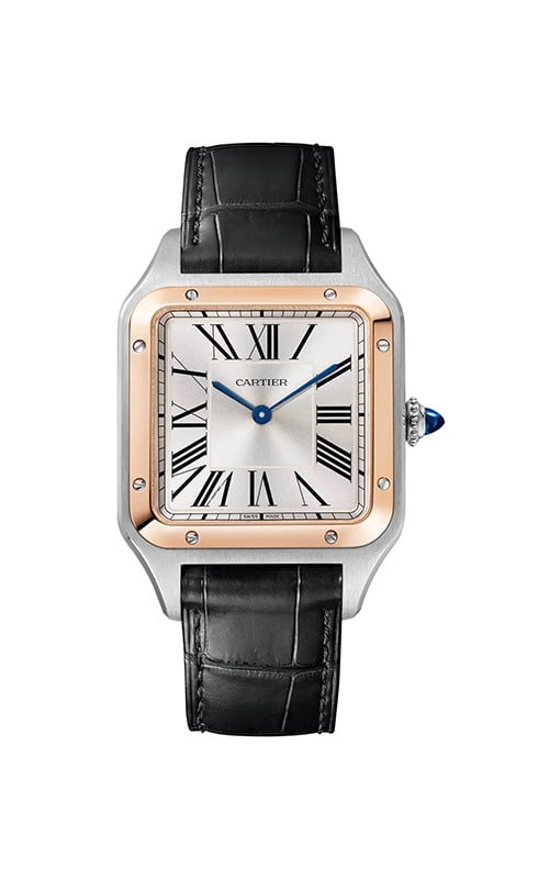 Cartier W2SA0037 Watches