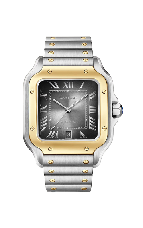 Cartier W2SA0030 Santos Erkek Kol Saati