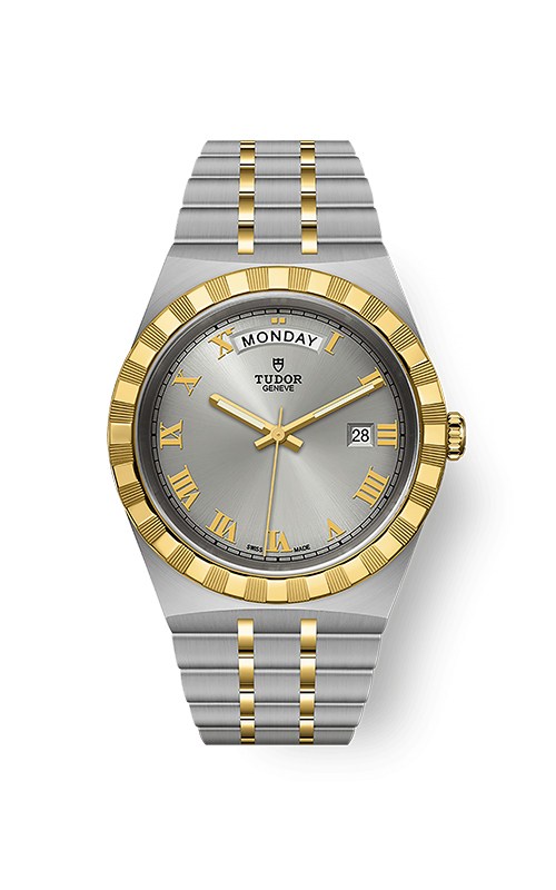 Tudor M28603-0001 Date Day Erkek Kol Saati