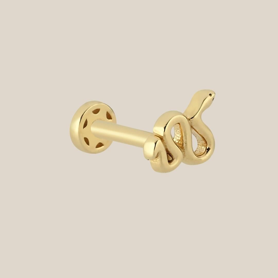 Yılan Altın Tragus