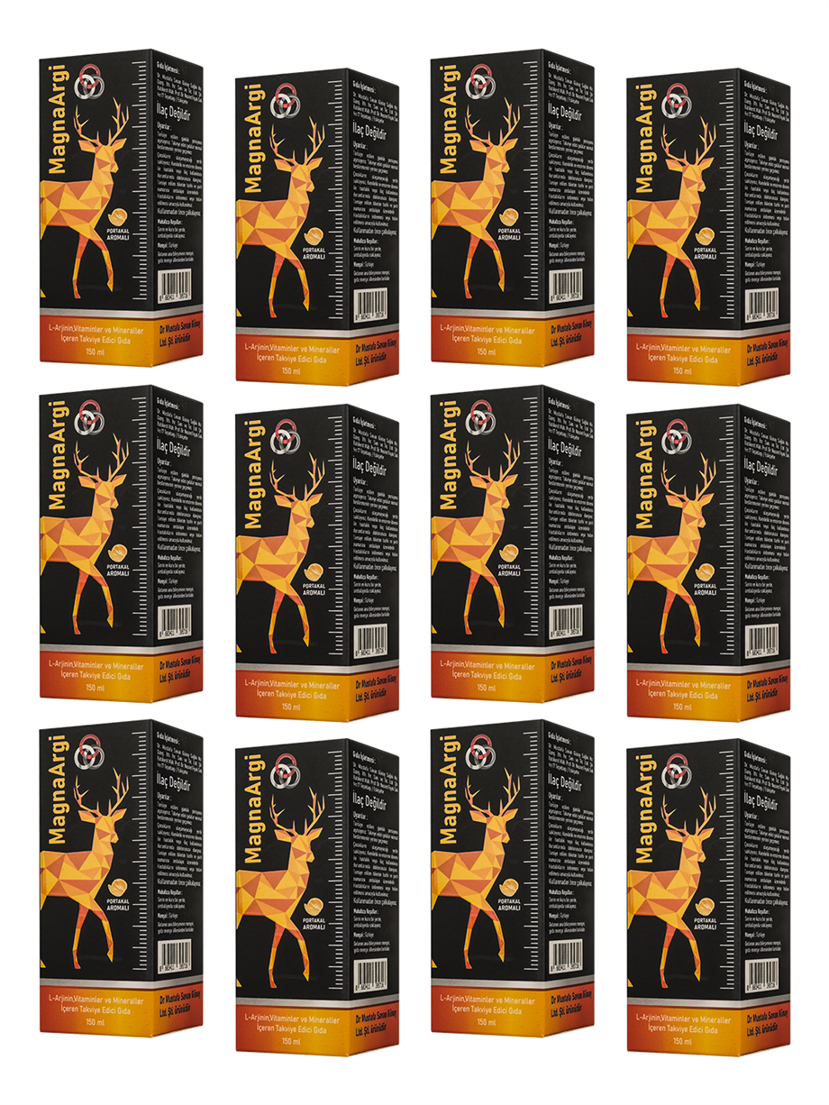 12 Boxes MagnaArgi 