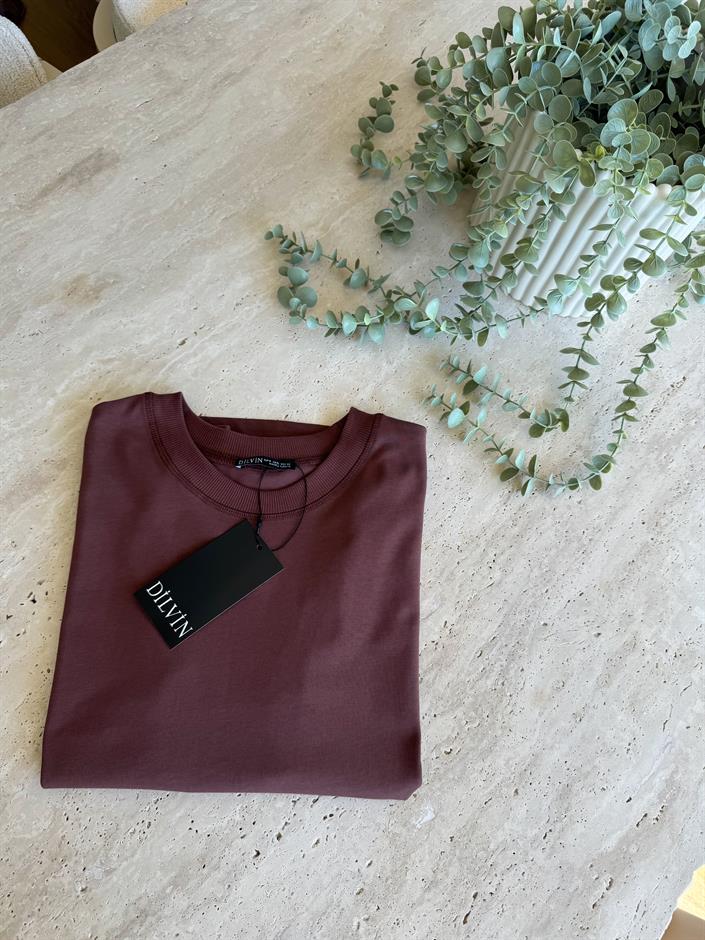 Dilvin Dekoratif Dikişli Bisiklet Yaka Tişört-Kahve