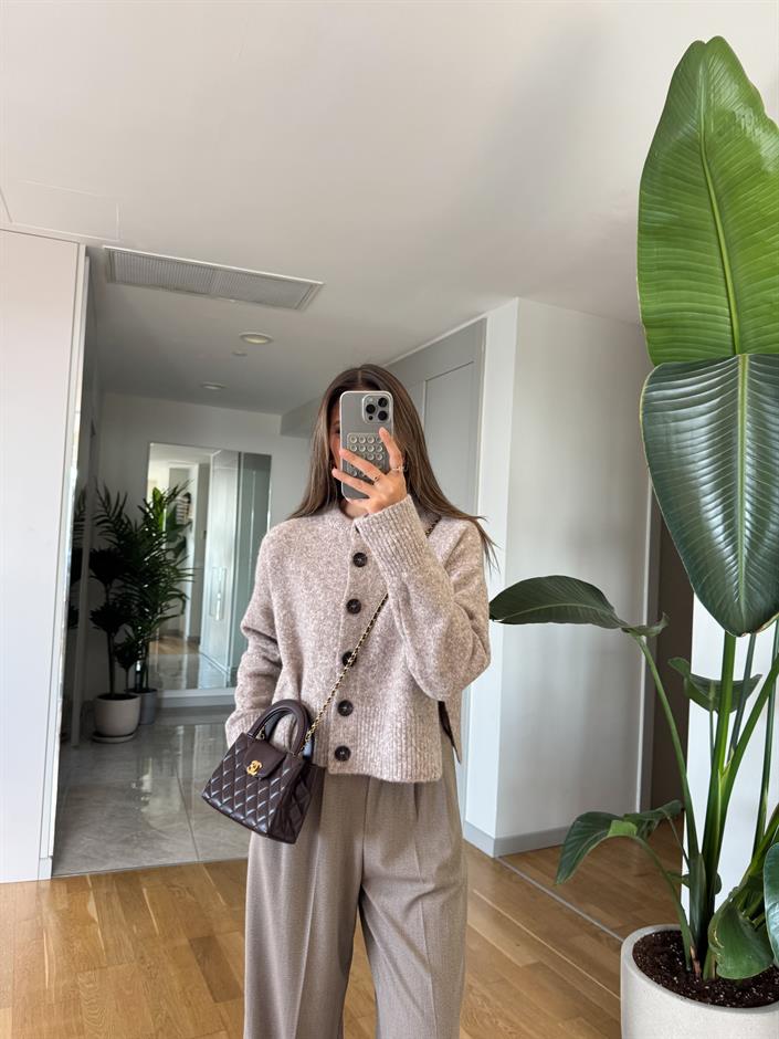 Dilvin Düğmeli Hırka - Vizon