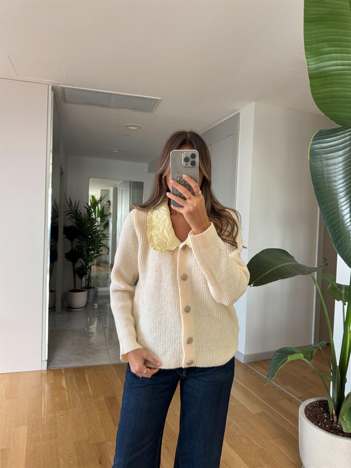 Sarı Yakalı Antrasit Hırka