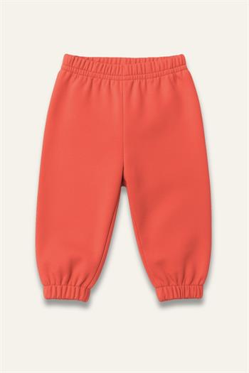 Unisex Bebek Basic Eşofman Altı - Mercan