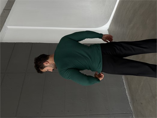 Zümrüt Henley Yaka Uzun Kol SC