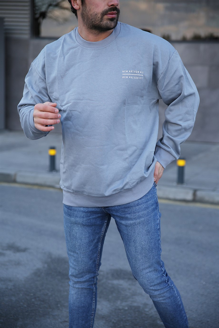SWEATSHİRTErkek 3 İplik Gri New For All Sırt  Baskılı Sweatshirt 