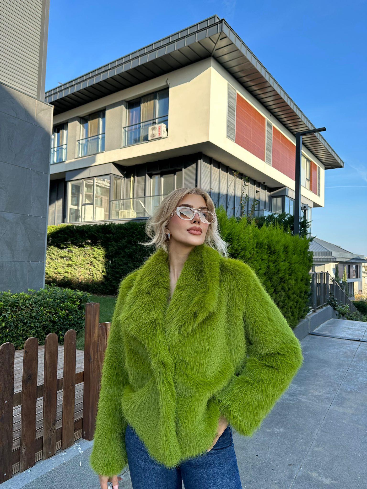 Hilda Zra Model Şal Yaka Fıstık Yeşili 1707434