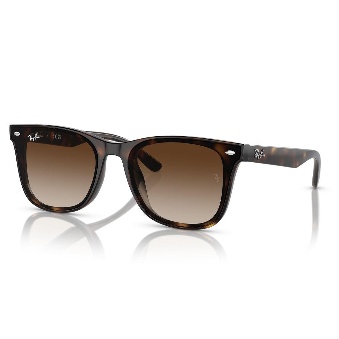 Ray-Ban Güneş Gözlüğü 4420 710/13 65-18 / unisex güneş gözlüğü