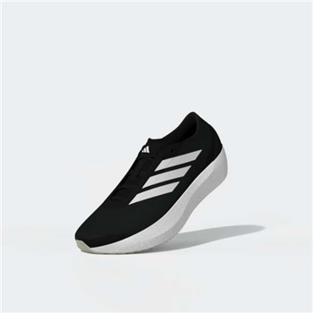 ZENBOOST M