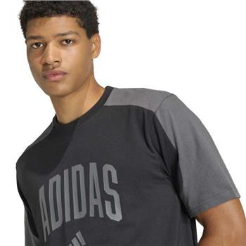 M COLLEGIATE TE