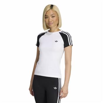 SST TEE